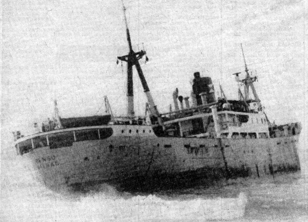 Bensu - CollectionE. Puértolas Bensu - CollectionE. Puértolas